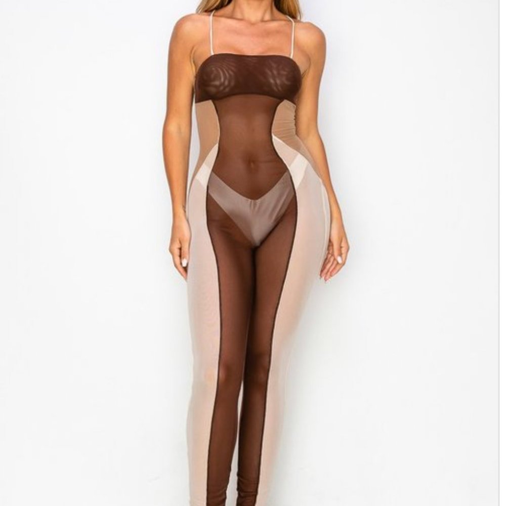 Sheer Shades of Nude Jumpsuit